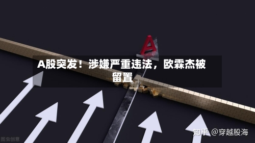 A股突发！涉嫌严重违法	，欧霖杰被留置-第2张图片