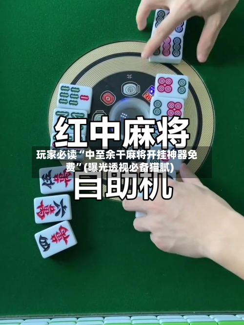 玩家必读“中至余干麻将开挂神器免费”(曝光透视必备猫腻)-第3张图片