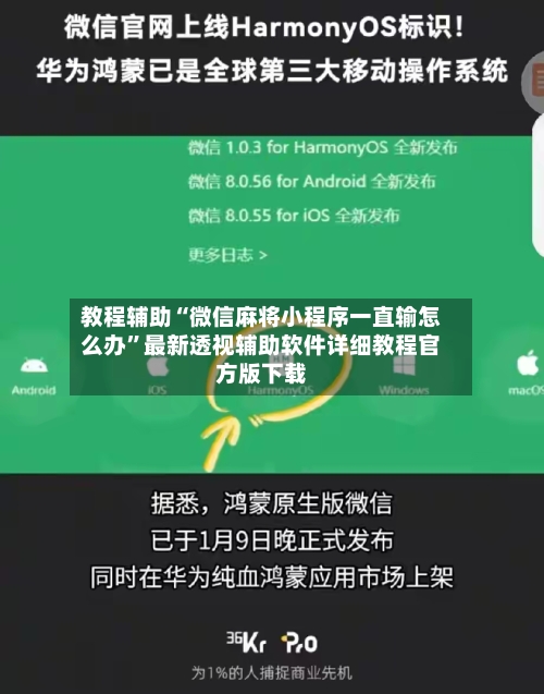 教程辅助“微信麻将小程序一直输怎么办	”最新透视辅助软件详细教程官方版下载-第2张图片