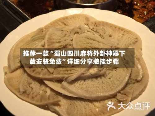 推荐一款“蜀山四川麻将外卦神器下载安装免费	”详细分享装挂步骤-第2张图片