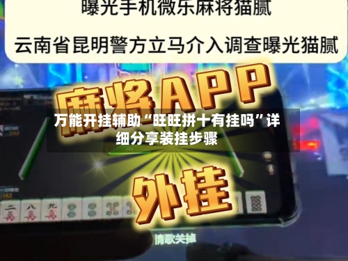 万能开挂辅助“旺旺拼十有挂吗”详细分享装挂步骤-第3张图片