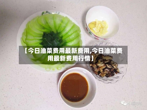 【今日油菜费用最新费用,今日油菜费用最新费用行情】-第3张图片