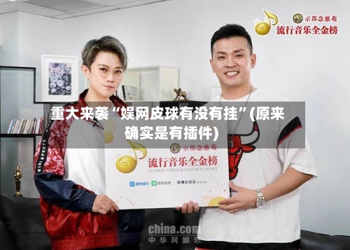 重大来袭“娱网皮球有没有挂	”(原来确实是有插件)-第2张图片