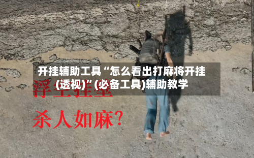 开挂辅助工具“怎么看出打麻将开挂(透视)”(必备工具)辅助教学-第3张图片