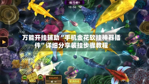 万能开挂辅助“手机金花软挂神器插件”详细分享装挂步骤教程-第2张图片