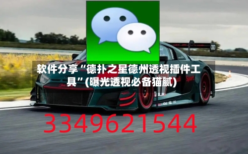 软件分享“德扑之星德州透视插件工具”(曝光透视必备猫腻)-第2张图片