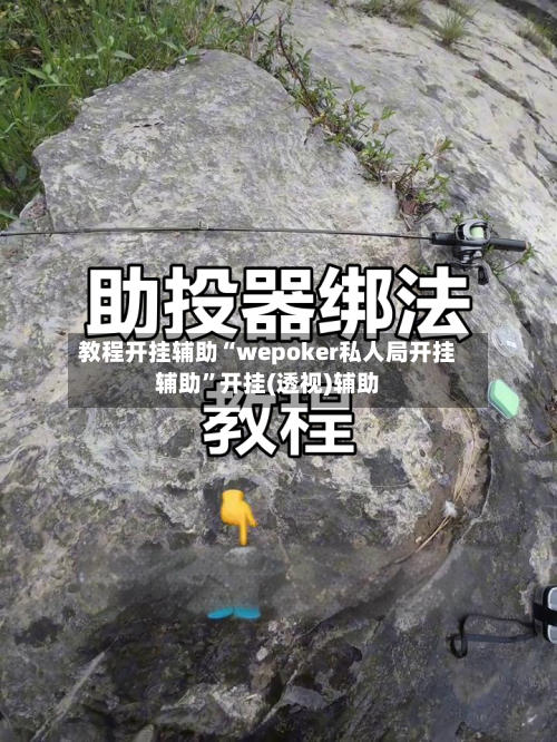 教程开挂辅助“wepoker私人局开挂辅助”开挂(透视)辅助-第2张图片