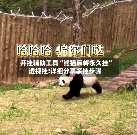 开挂辅助工具“熊猫麻将永久挂”透视挂!详细分享装挂步骤