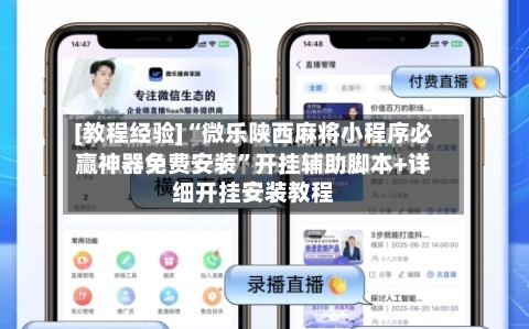 [教程经验]“微乐陕西麻将小程序必赢神器免费安装”开挂辅助脚本+详细开挂安装教程-第3张图片