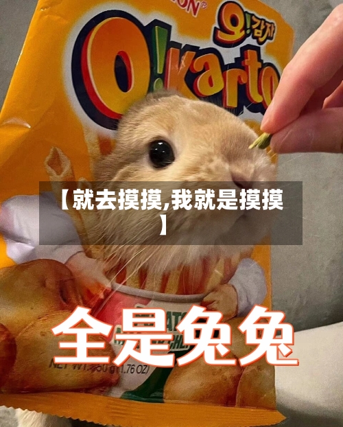 【就去摸摸,我就是摸摸】-第3张图片