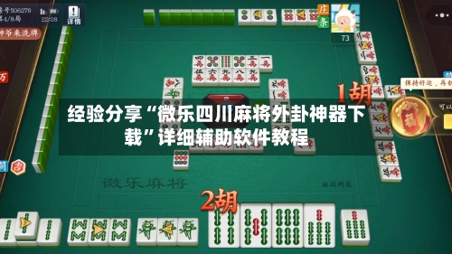 经验分享“微乐四川麻将外卦神器下载”详细辅助软件教程-第2张图片