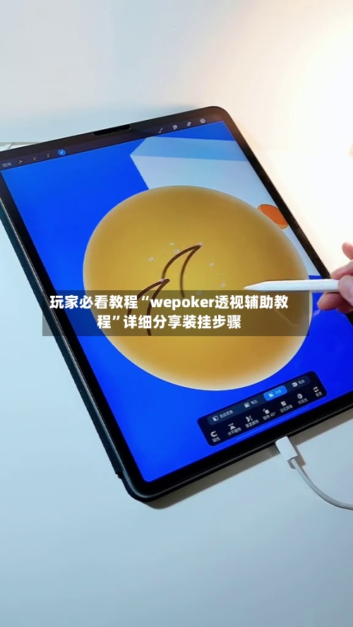 玩家必看教程“wepoker透视辅助教程”详细分享装挂步骤-第2张图片