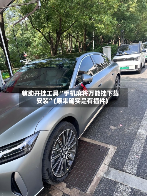 辅助开挂工具“手机麻将万能挂下载安装	”(原来确实是有插件)-第2张图片