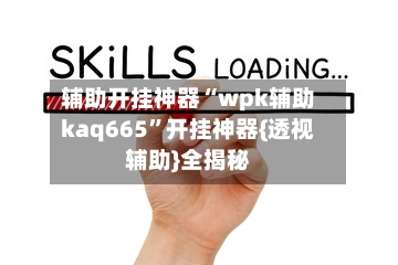 辅助开挂神器“wpk辅助kaq665	”开挂神器{透视辅助}全揭秘-第2张图片