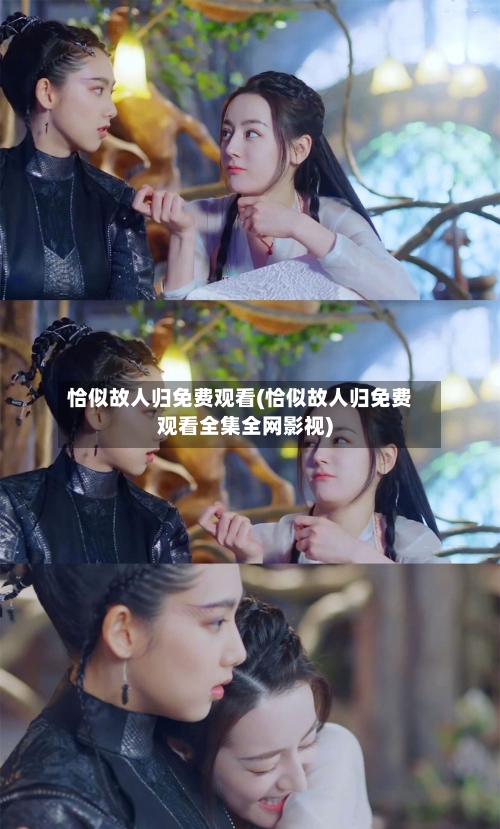 恰似故人归免费观看(恰似故人归免费观看全集全网影视)