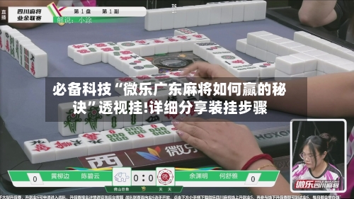 必备科技“微乐广东麻将如何赢的秘诀”透视挂!详细分享装挂步骤-第3张图片