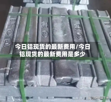 今日铝现货的最新费用/今日铝现货的最新费用是多少-第3张图片
