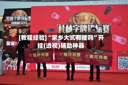 [教程经验]“家乡大贰有挂吗	”开挂(透视)辅助神器-第2张图片