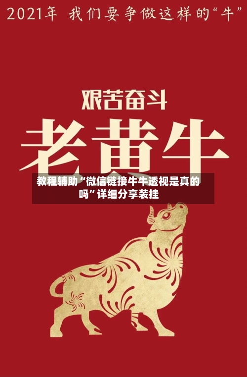 教程辅助“微信链接牛牛透视是真的吗”详细分享装挂