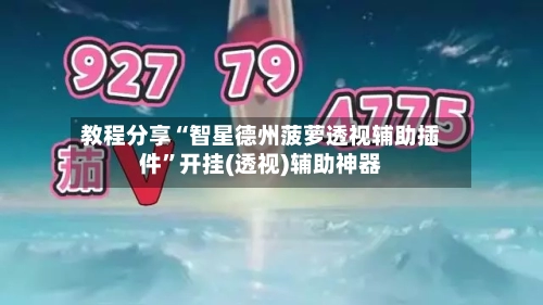 教程分享“智星德州菠萝透视辅助插件”开挂(透视)辅助神器-第3张图片