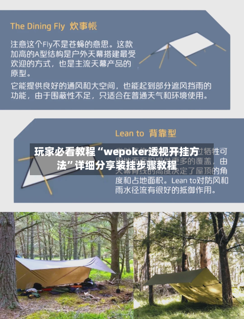 玩家必看教程“wepoker透视开挂方法”详细分享装挂步骤教程-第2张图片