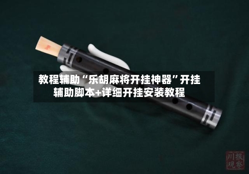 教程辅助“乐胡麻将开挂神器”开挂辅助脚本+详细开挂安装教程-第2张图片