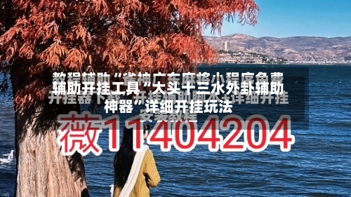 辅助开挂工具“大头十三水外卦辅助神器	”详细开挂玩法-第2张图片