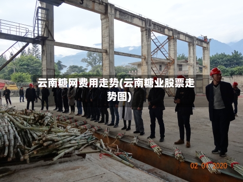 云南糖网费用走势(云南糖业股票走势图)