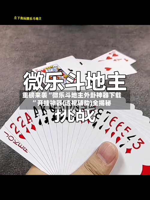 重磅来袭“微乐斗地主外卦神器下载	”开挂神器{透视辅助}全揭秘-第2张图片