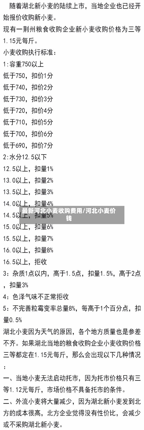 最新河北小麦收购费用/河北小麦价钱