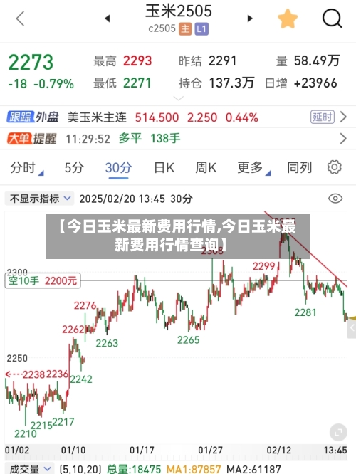 【今日玉米最新费用行情,今日玉米最新费用行情查询】