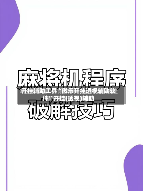开挂辅助工具“微乐开挂透视辅助软件	”开挂(透视)辅助-第2张图片