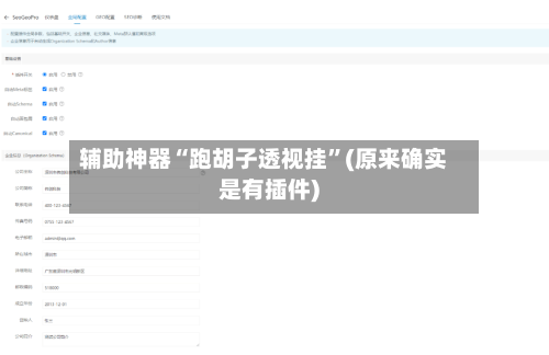 辅助神器“跑胡子透视挂”(原来确实是有插件)-第2张图片