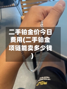 二手铂金价今日费用(二手铂金项链能卖多少钱)-第2张图片