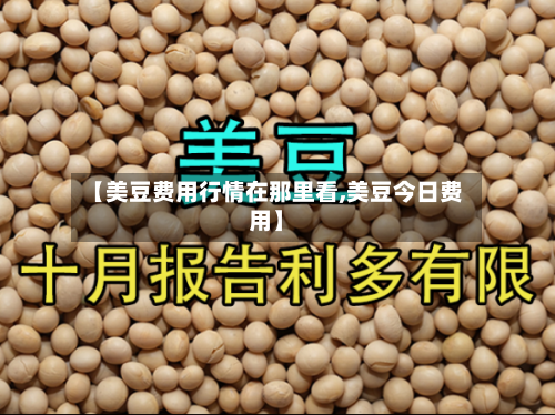 【美豆费用行情在那里看,美豆今日费用】