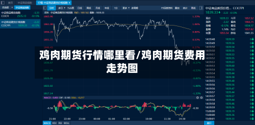 鸡肉期货行情哪里看/鸡肉期货费用走势图