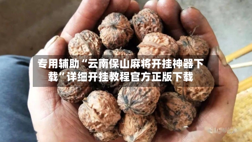 专用辅助“云南保山麻将开挂神器下载”详细开挂教程官方正版下载-第2张图片