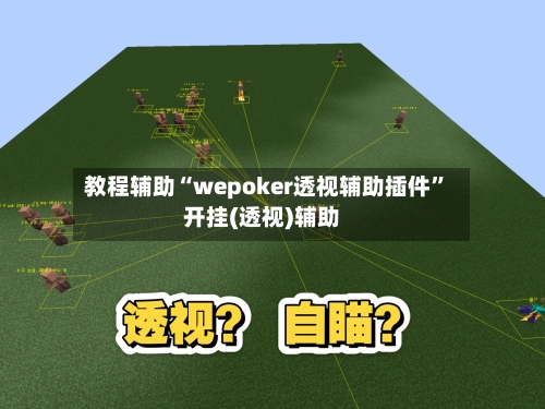 教程辅助“wepoker透视辅助插件”开挂(透视)辅助-第3张图片