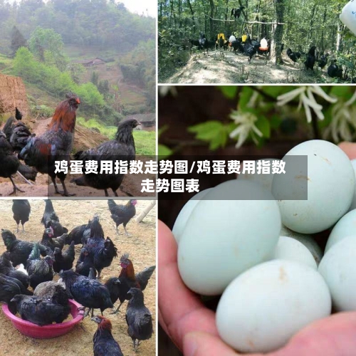 鸡蛋费用指数走势图/鸡蛋费用指数走势图表-第2张图片