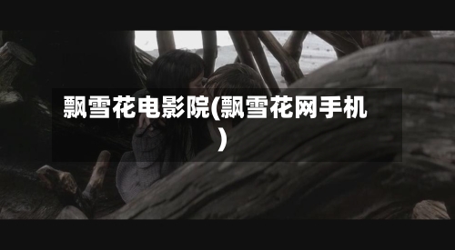 飘雪花电影院(飘雪花网手机)-第3张图片