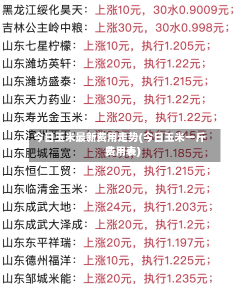 今日玉米最新费用走势(今日玉米一斤费用表)