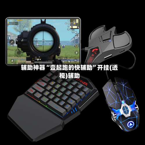 辅助神器“壹起跑的快辅助”开挂(透视)辅助-第3张图片