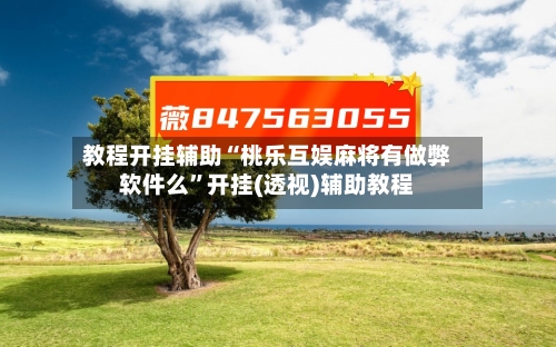 教程开挂辅助“桃乐互娱麻将有做弊软件么”开挂(透视)辅助教程-第2张图片