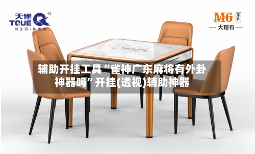 辅助开挂工具“雀神广东麻将有外卦神器吗”开挂(透视)辅助神器-第3张图片
