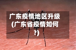 广东疫情地区升级(广东省疫情如何?)
