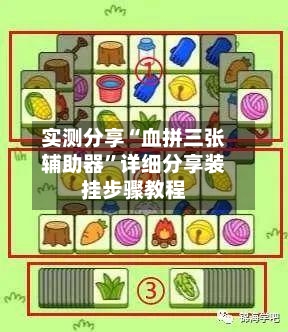 实测分享“血拼三张辅助器”详细分享装挂步骤教程-第2张图片