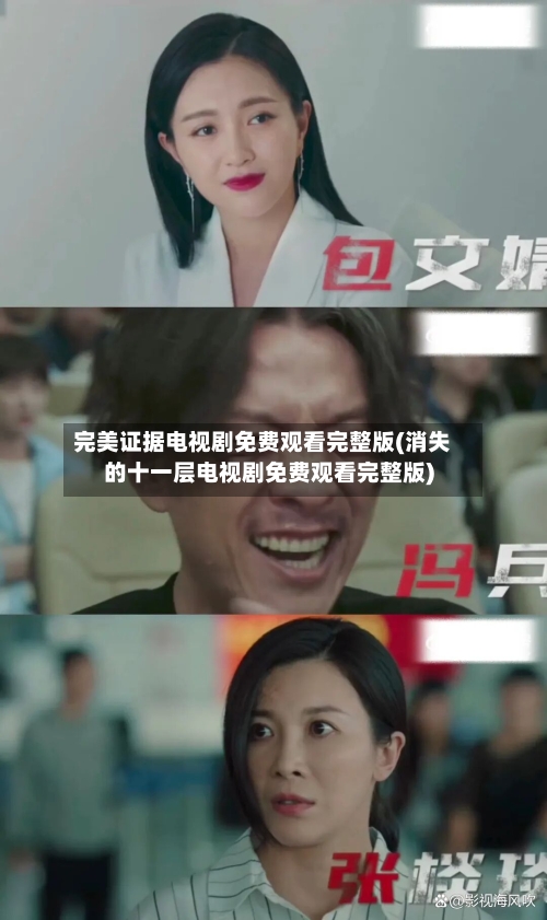 完美证据电视剧免费观看完整版(消失的十一层电视剧免费观看完整版)-第2张图片