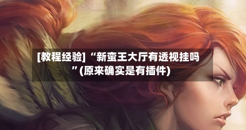 [教程经验] “新蛮王大厅有透视挂吗”(原来确实是有插件)-第2张图片