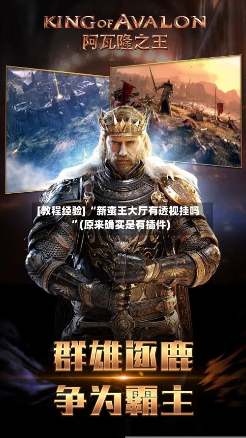 [教程经验] “新蛮王大厅有透视挂吗”(原来确实是有插件)-第3张图片