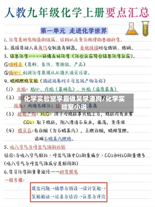 化学实验室学霸做哭学渣肉/化学实验室小说